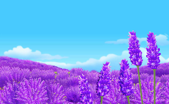 paisaje-lavanda